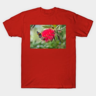 Red Admiral On A Red Bottlebrush Bloom T-Shirt